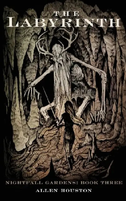 The Labyrinth by Allen Houston