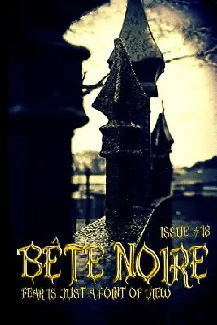 Bete Noire issue #18 by Various Authors