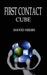 First Contact - Cube by David Hiers