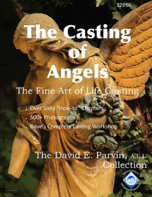 The Casting of Angels by A. L. I. David E. Parvin