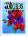 Orchids A Brief Exploration Through Art by Hoang Nhu Kim Nguyen (Kimz)