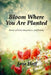 Bloom Where You are Planted by Jane Hoff