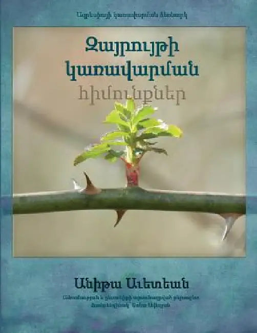 Anger Management Essentials in Armenian by Avedian, Anita