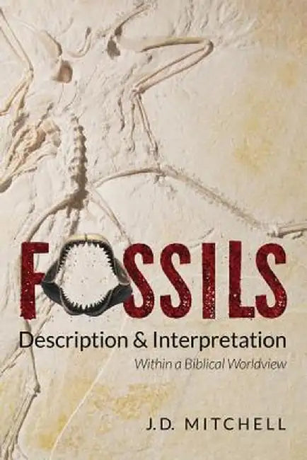 Fossils: Description & Interpretation: Within a Biblical Worldview by Jd Mitchell