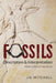 Fossils: Description & Interpretation: Within a Biblical Worldview by Jd Mitchell