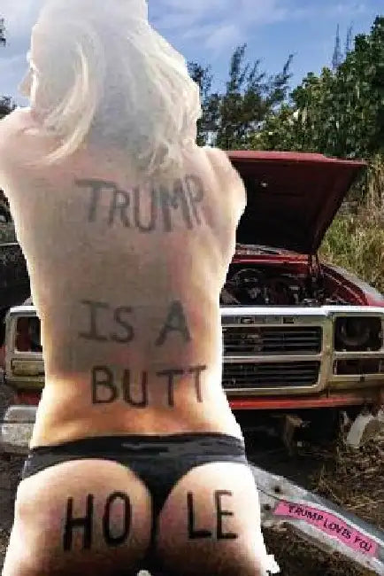 The Book of 323 No to Trump Bumperstickers by John Wirth