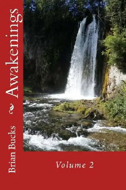 Awakenings: Volume 2 by Brian Bucks
