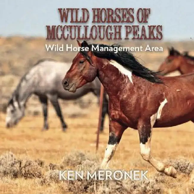 Wild Horses of McCullough Peaks by Ken Meornek