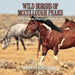 Wild Horses of McCullough Peaks by Ken Meornek