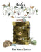 Codex Gastropoda: A Visual Meditation by Ilene Winn-Lederer