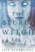 The Secret Witch by Jeff Severcool