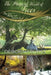 The Magical World of Trees: They Love, Nurture and Communicate by Deborah C. Burst