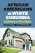 African Americans in White Suburbia: Social Networks and Political Behavior by Ernest McGowen