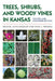Trees, Shrubs, and Woody Vines in Kansas by Michael John Haddock
