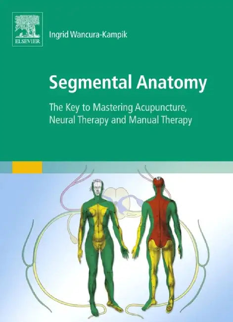 Segmental Anatomy by Ingrid Wancura-Kampik