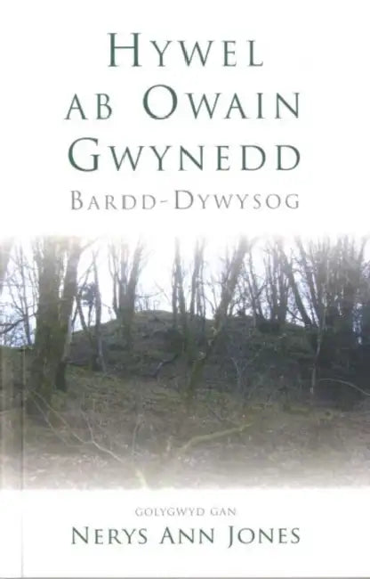 Hywel ab Owain Gwynedd: Bardd-Dywysog by Johanna Wellheiser