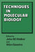 Techniques in Molecular Biology: Volume 2 by John M. Walker