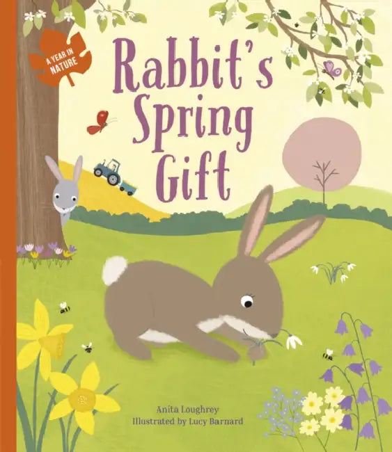 Rabbit's Spring Gift by Anita Loughrey, Lucy Barnard
