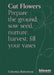Cut Flowers: Prepare the Ground, Sow Seed, Encourage, Harvest, Fill Your Vases by Celestina Robertson