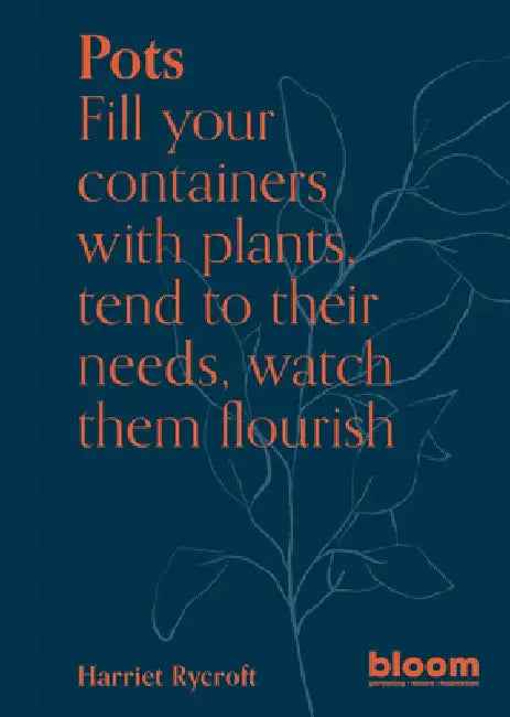 Pots by Harriet Rycroft