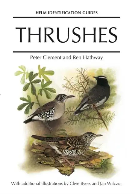 Thrushes by Peter Clement