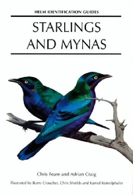 Starlings and Mynas by Adrian Craig