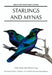 Starlings and Mynas by Adrian Craig