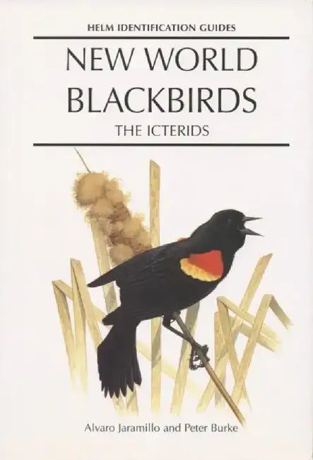 New World Blackbirds by Alvaro Jaramillo
