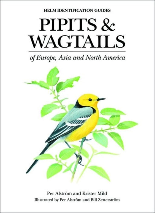 Pipits and Wagtails of Europe, Asia and North America by Per Alstrom