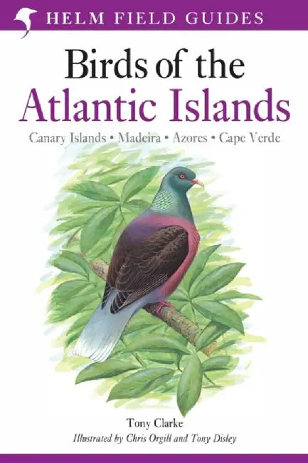 Field Guide to the Birds of the Atlantic Islands by Mr Tony Clarke