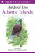 Field Guide to the Birds of the Atlantic Islands by Mr Tony Clarke