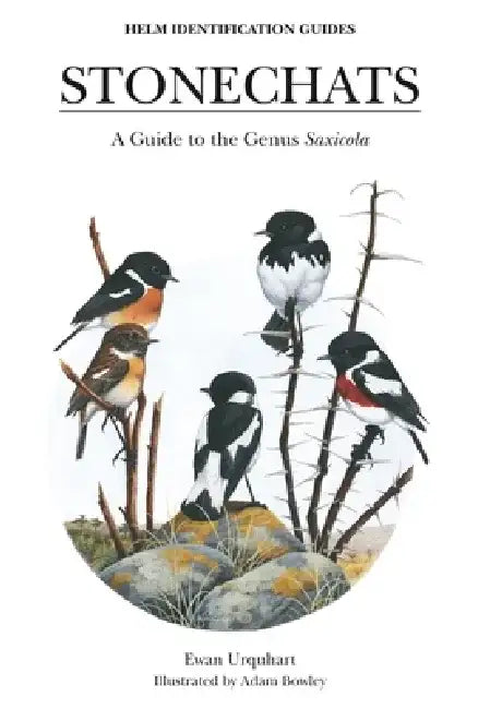 Stonechats by Ewan Urquhart