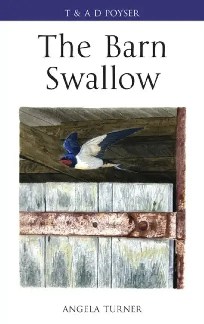 The Barn Swallow by Angela Turner
