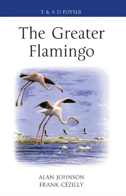 The Greater Flamingo by Alan Johnson