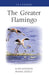 The Greater Flamingo by Alan Johnson