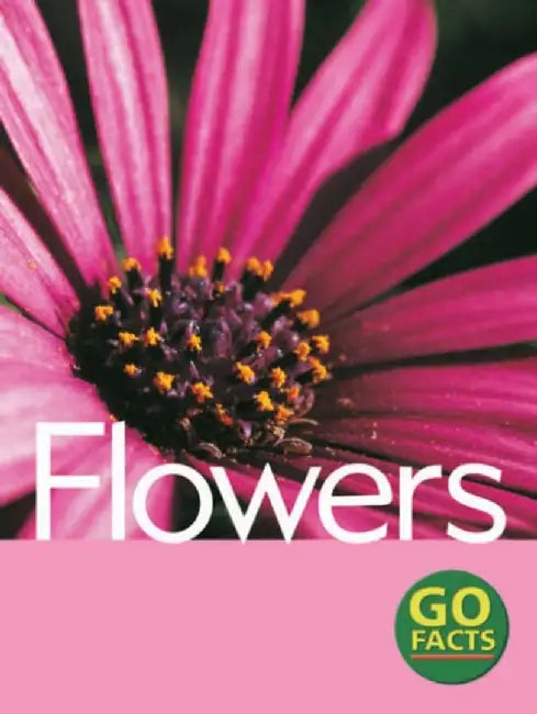Flowers by Paul McEvoy