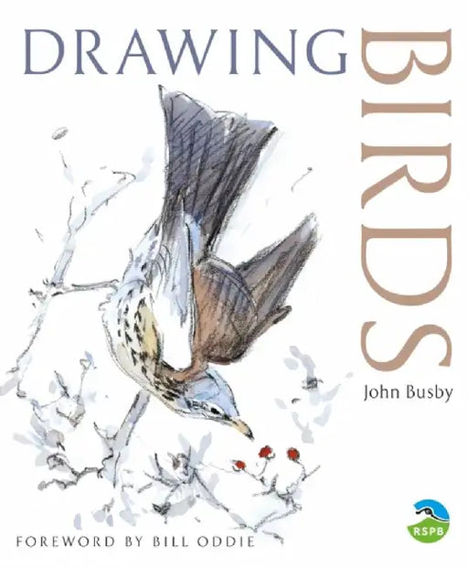 Drawing Birds by John Busby