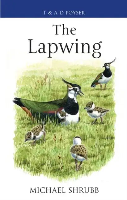 The Lapwing by Michael Shrubb