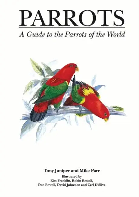 Parrots by Mike Parr