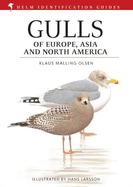 Gulls of Europe, Asia and North America by Klaus Malling Olsen