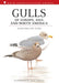 Gulls of Europe, Asia and North America by Klaus Malling Olsen