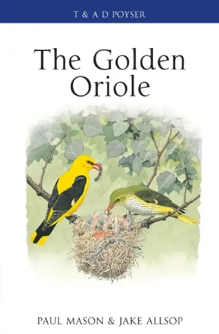 The Golden Oriole by Paul Mason