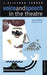 Voice and Speech in the Theatre by J. Clifford Turner