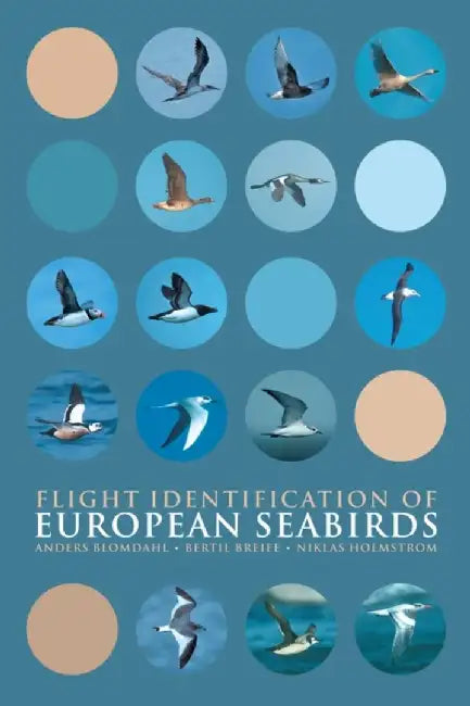 Flight Identification of European Seabirds by Anders Blomdahl