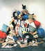 Mark Dion: Contemporary Artist by Mark Dion