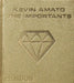 The Importants by Kevin Amato