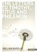 New Daily Study Bible  The Letters To Timothy Titus  Philemon by William Barclay
