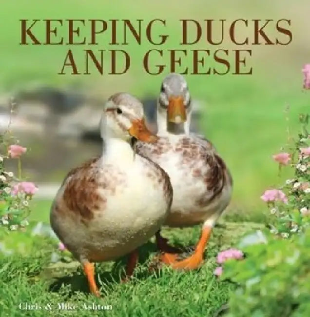 Keeping Ducks and Geese by Chris Ashton