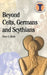 Beyond Celts, Germans and Sycythians: Archaeology and Identity in Iron Age Europe by Peter S. Wells