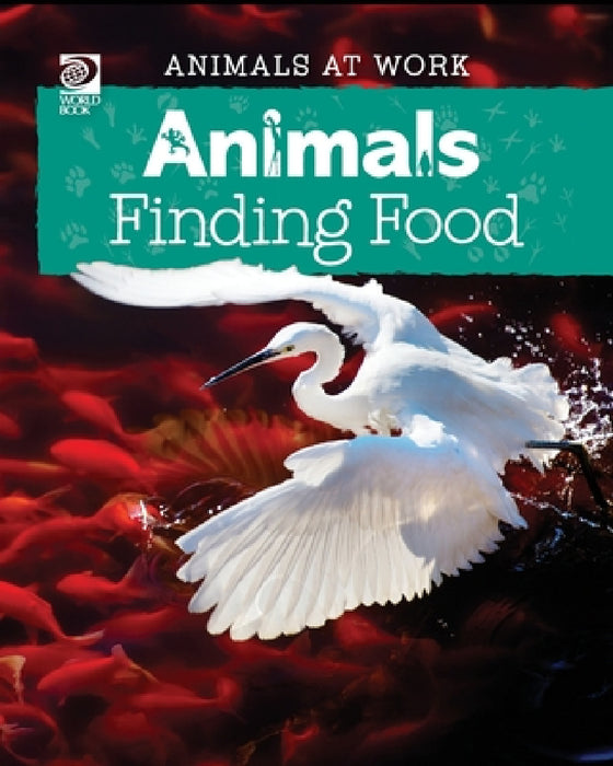Animals Finding Food by Alex Wolf